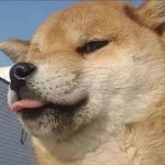 予的头像-酷猫网络